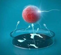 2026年在山西省妇幼保健院做三代试管婴儿指南！怀孕成功率多少供您参考