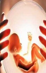 济南地区有哪些私立的机构可以做试管技术？孕初期通过怕酸来确定是怀女孩的准确度高吗？